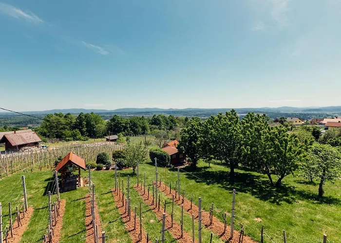 Holiday home Zidanica Bahor *